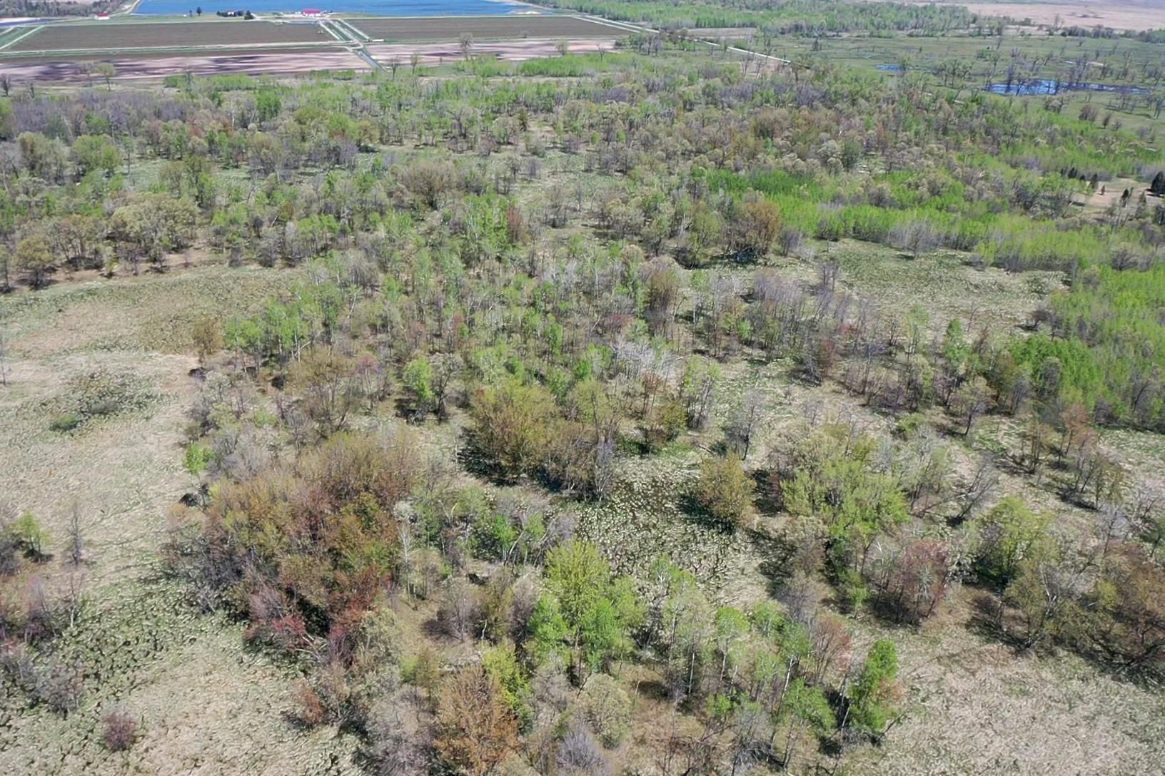 40 acres in Hancock, WI, 54943 MLS 1883769 Land and Farm