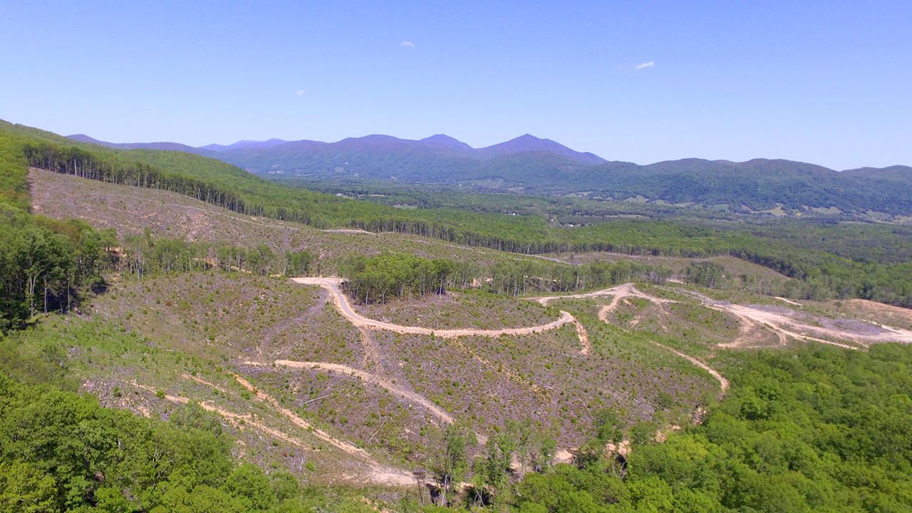 162.78 Acres, 0 Camp Jaycee RD, Montvale, VA 24122 Land and Farm