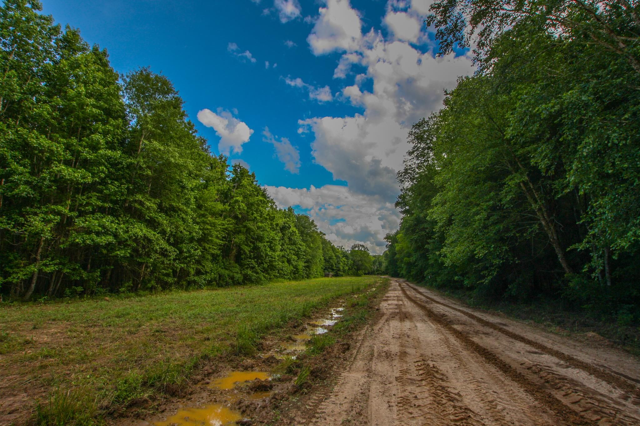 87.47 Acres, Crockett, TX 75835 Land and Farm