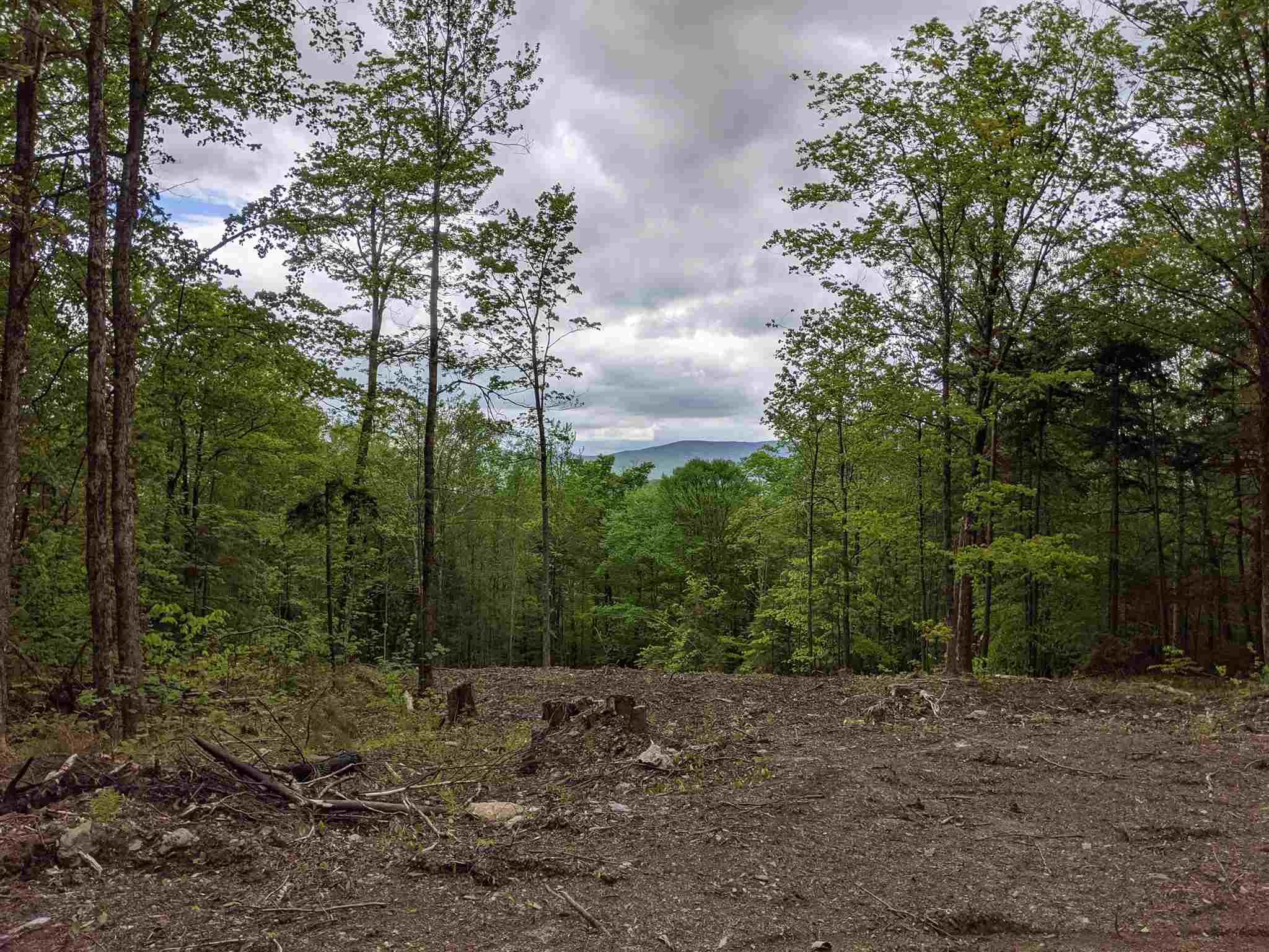 40.5 Acres, 000 Fuller Road, Granville, VT 05747 Land and Farm