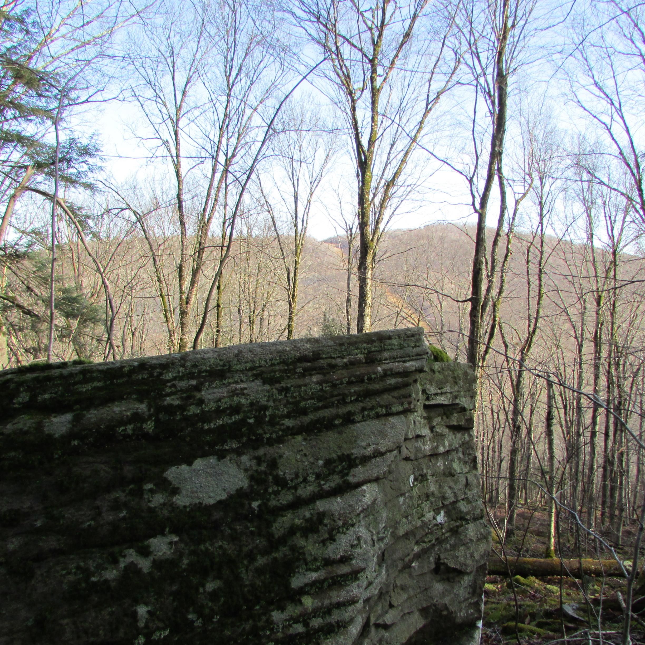 7.27 Acres, Chiloway Rd, Roscoe, NY 12776 Land and Farm