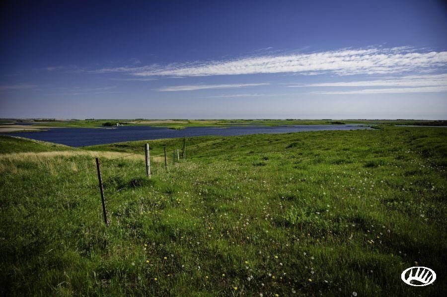 County Road 19, Lot WP001, ster, SD 57274 Land and Farm