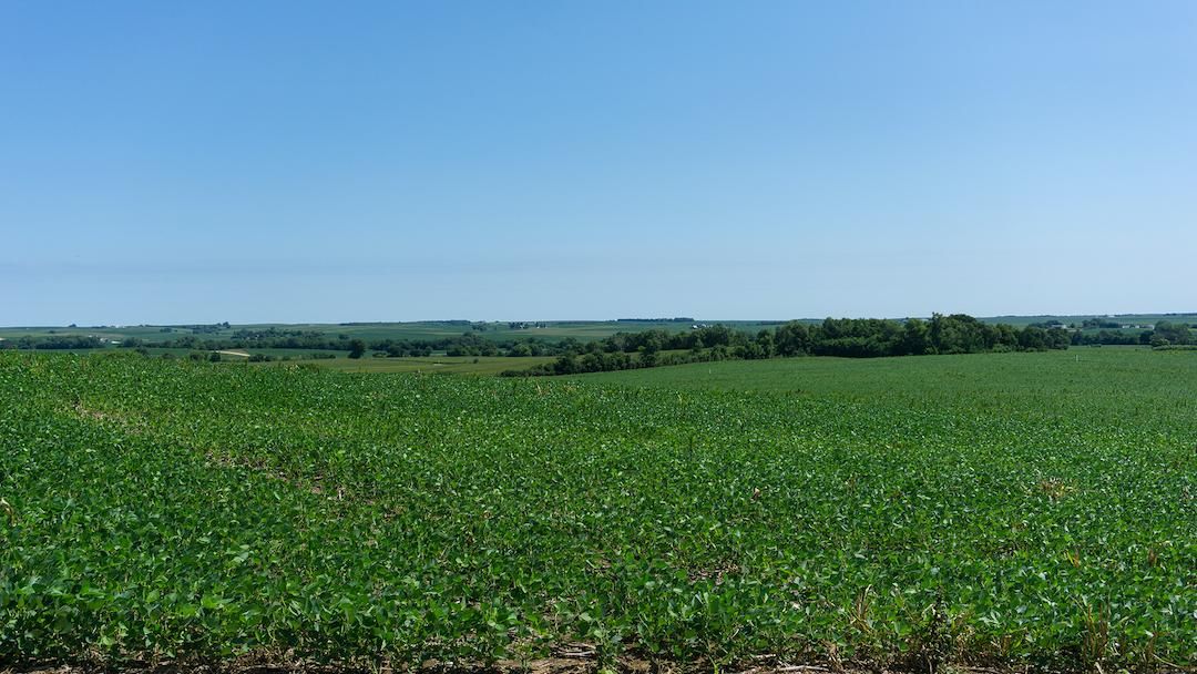 20.01 acres in Ceresco, NE, 68017 MLS 21816153 Land and Farm