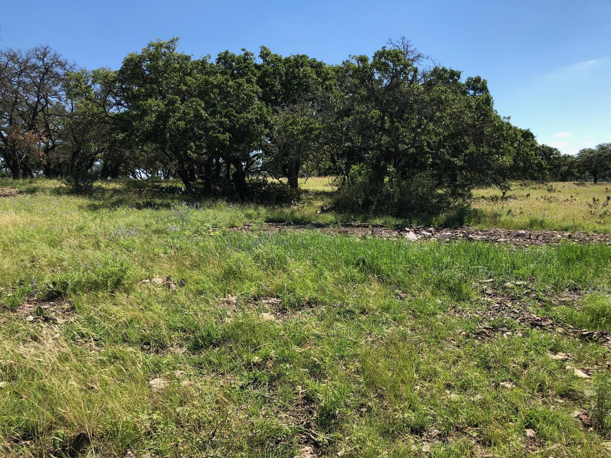 Old Harper Road, Fredericksburg, TX 78624 MLS 80072 Land and Farm