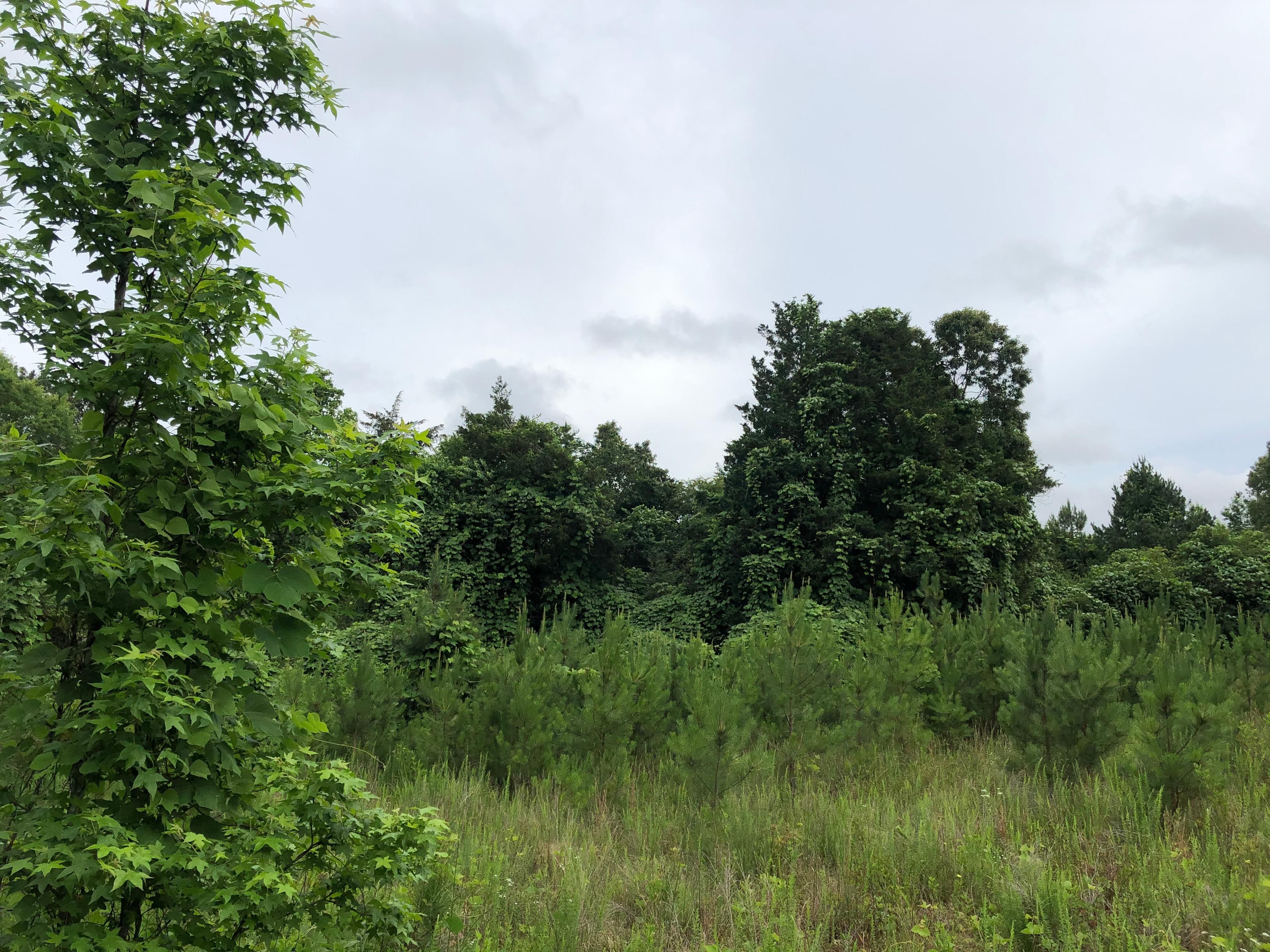 Satcher Rd, Taylorsville, GA 30178 MLS 6732983 Land and Farm