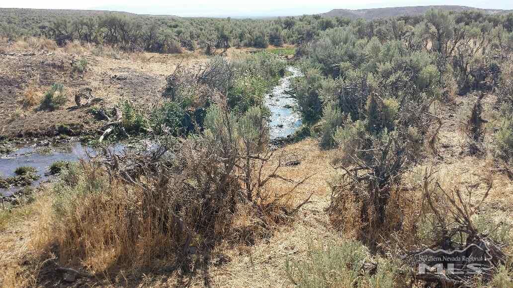 40 Acres, Chester Lyons Spring, Gerlach, NV 89412 Land and Farm