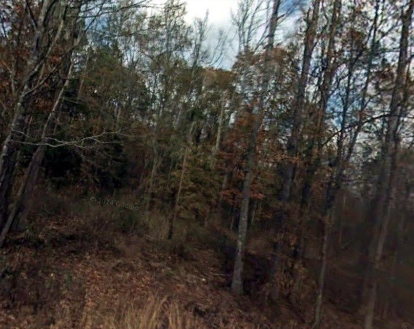 20 Acres, 3720 OLD HWY 80, Bolton, MS 39041 Land and Farm