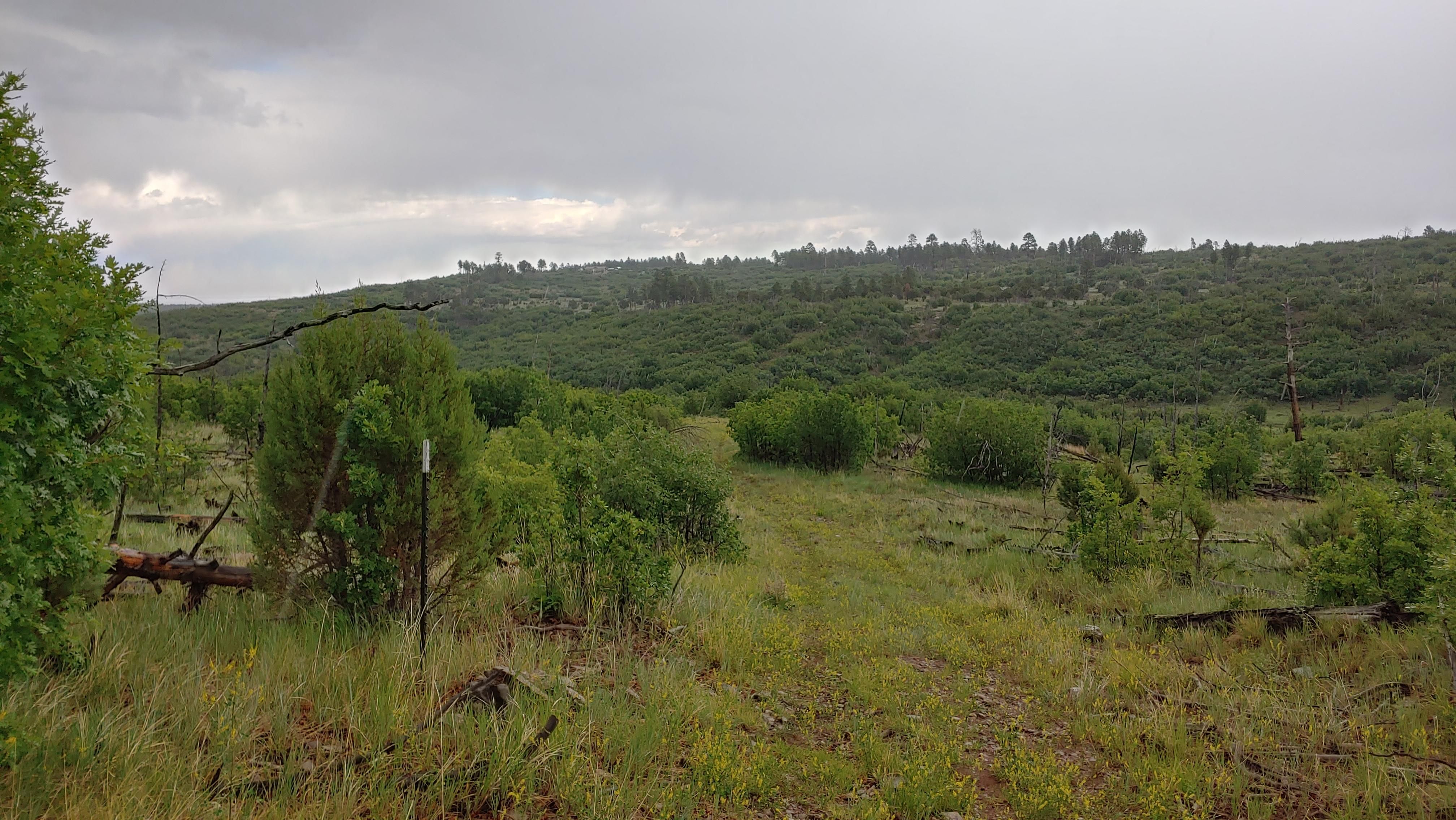 1 Acres, Friartuck Rd, Estancia, NM 87016 Land and Farm