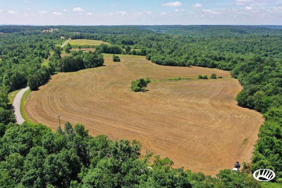 117.37 Acres, Coal Creek Road, Lot WP001, White Plains, KY 42464