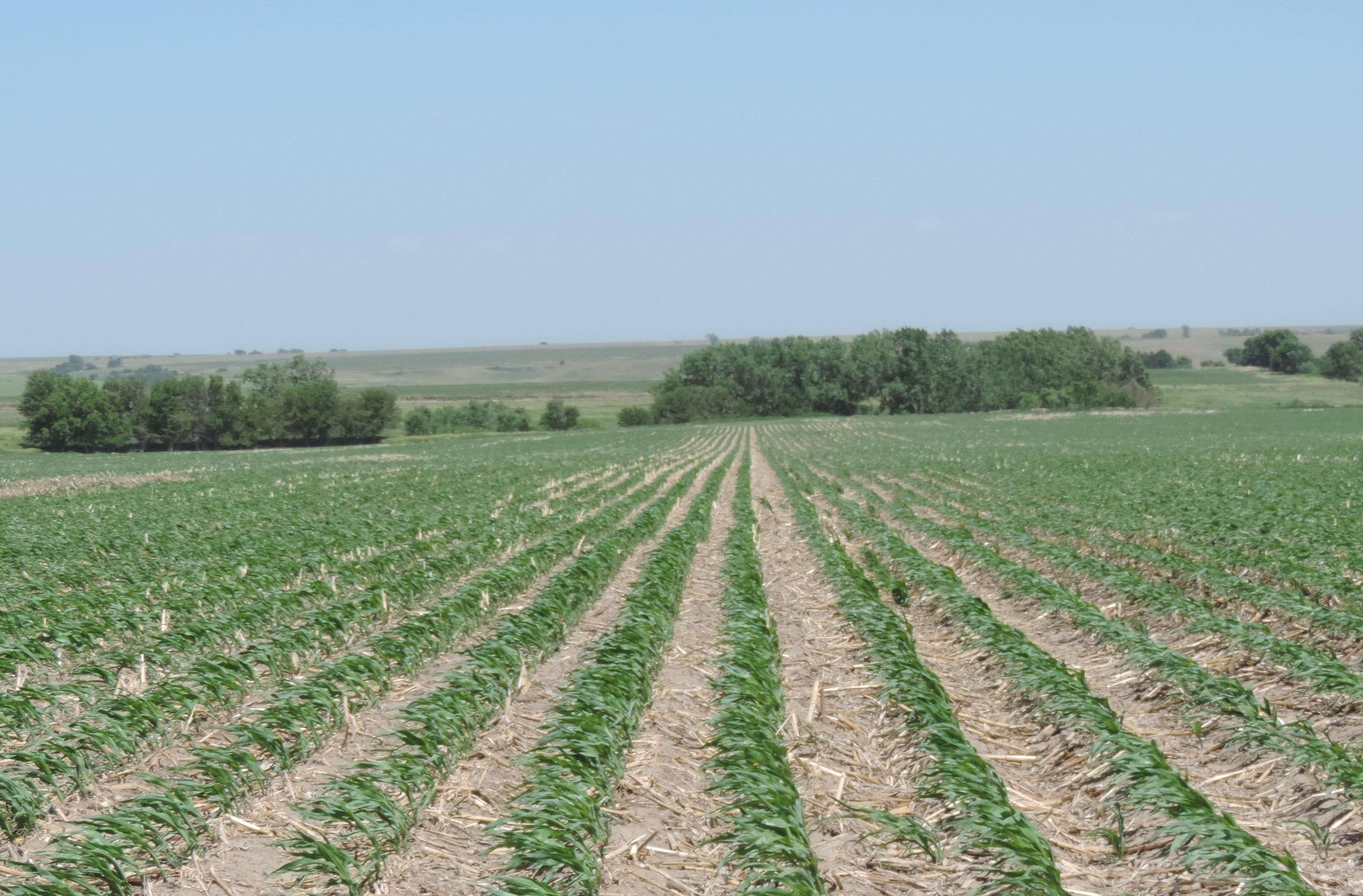334 Acres, Off Hwy 18, Stockville, NE 69042 Land and Farm