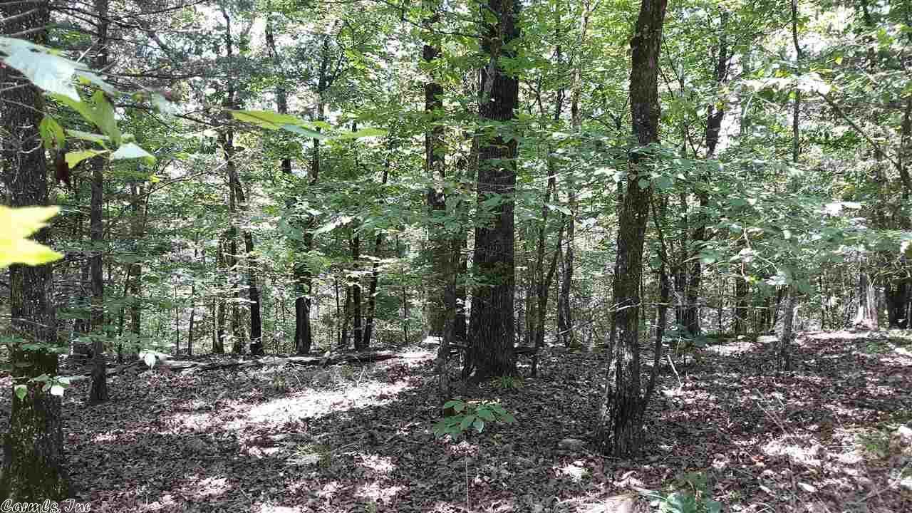 10.65 Acres, 000 Caddo Trail, Caddo Gap, AR 71935 Land and Farm