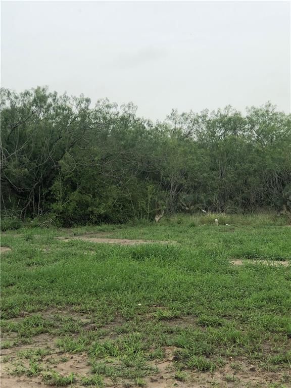 10 Acres, 977 Fm 1554 Road, Alice, TX 78332 Land and Farm