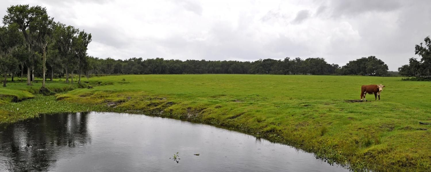 75.98 Acres, Johnston Rd, Zolfo Springs, FL 33890 Land and Farm