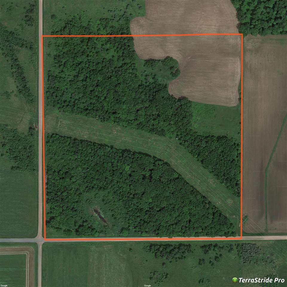 40 Acres, BACHELORS Avenue, Willard, WI 54493 Land and Farm