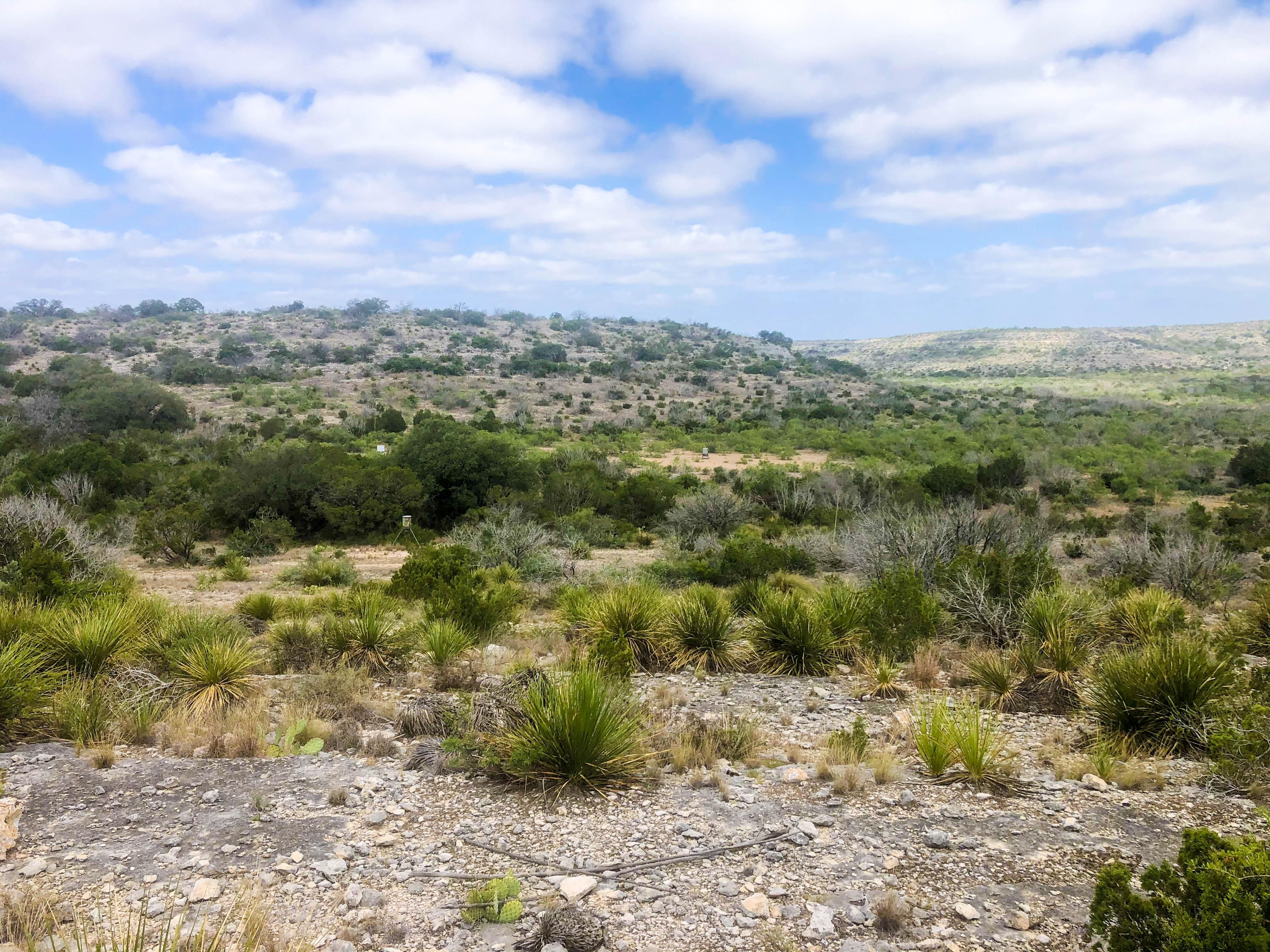 100 acres in Ozona, TX, 76943 MLS 101629 Land and Farm