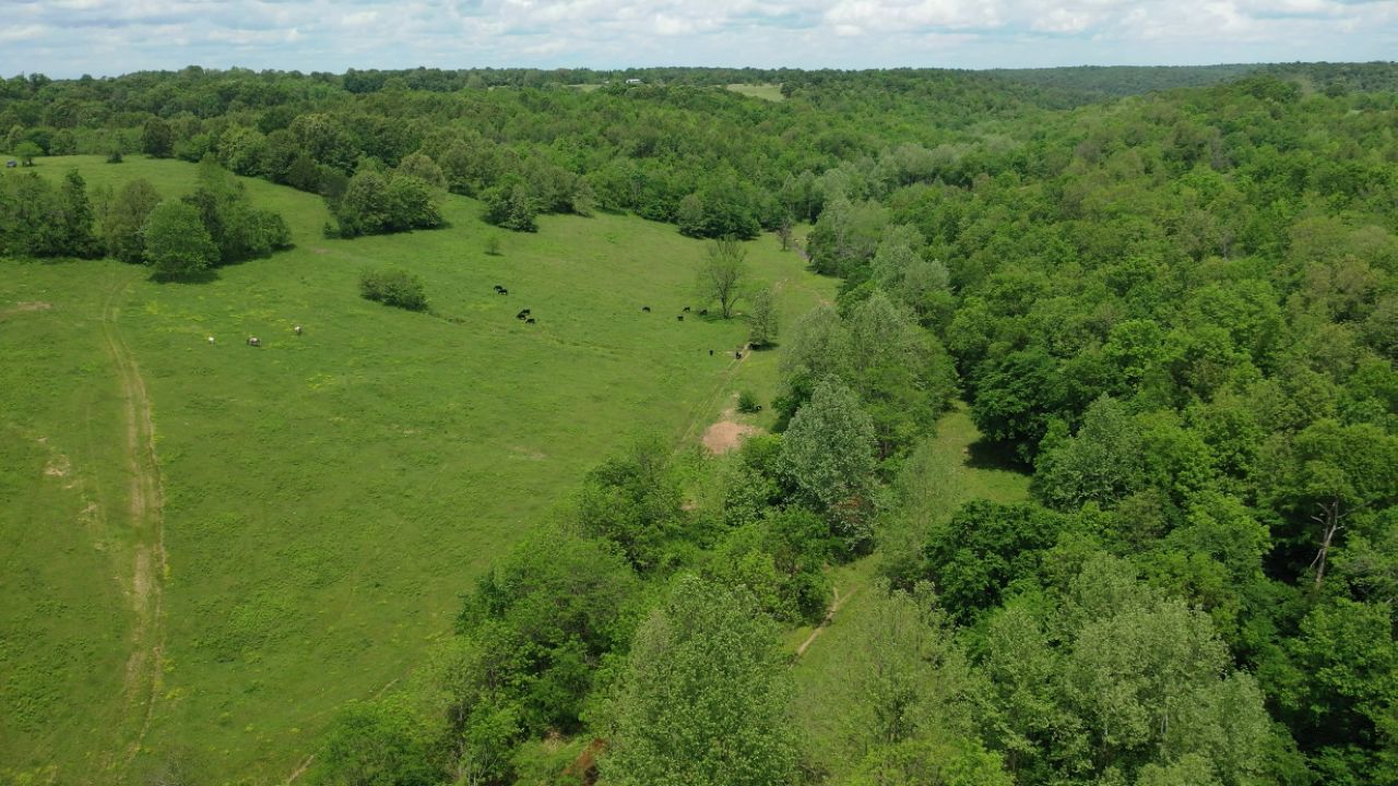 597 County Road 350, Caulfield, MO 65626 MLS 60155475 Land and Farm
