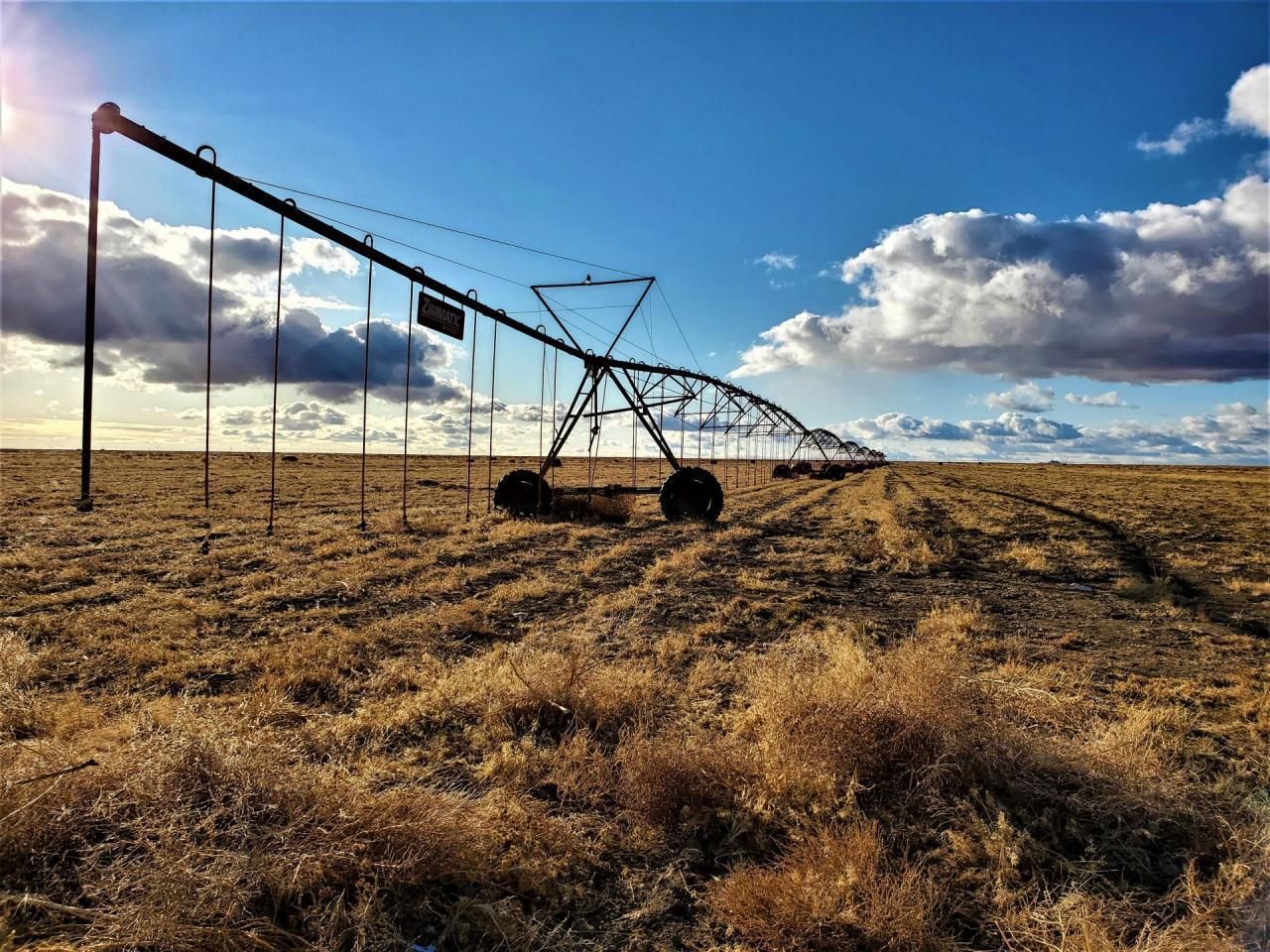 320 acres in Walsh, CO, 81090 Land and Farm