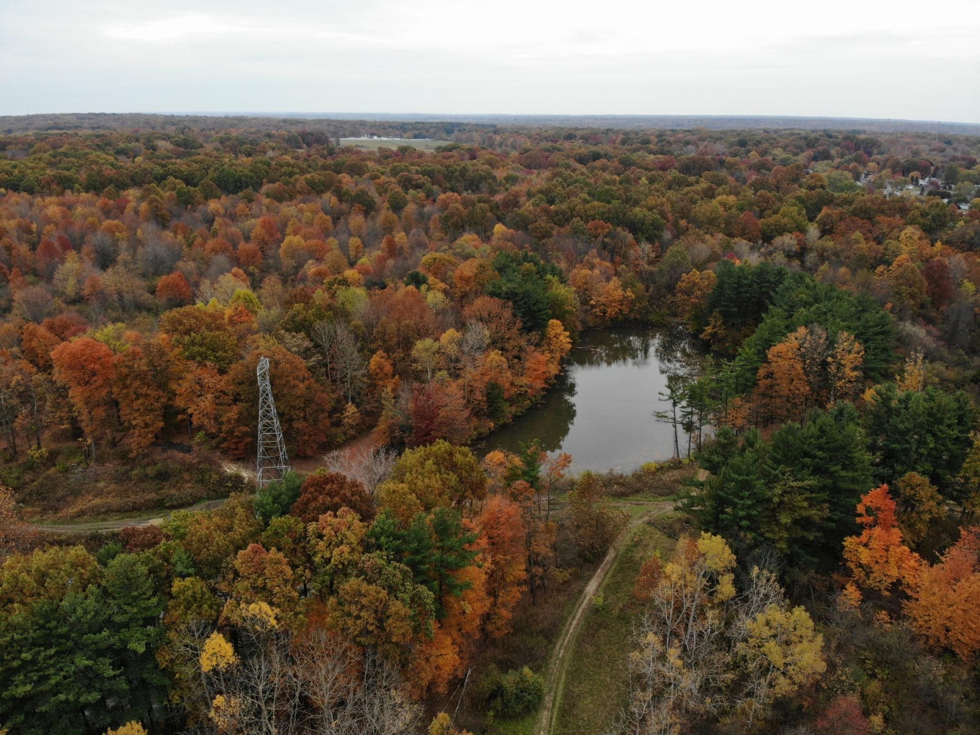 Belmont Avenue, Youngstown, OH 44505 Land and Farm