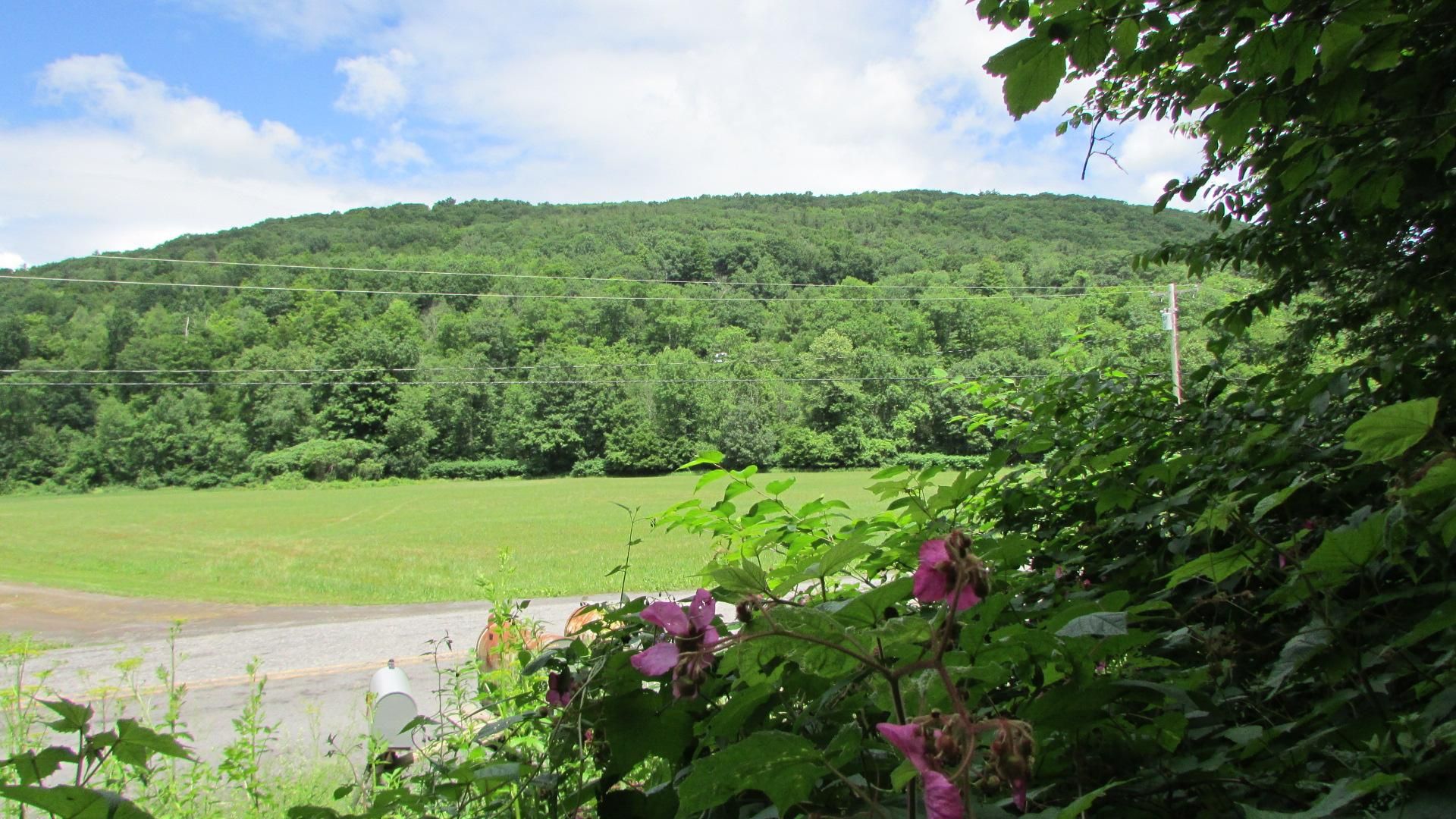 882 Stone Store Road, Middleburgh, NY 12122 MLS 164.320 Land and