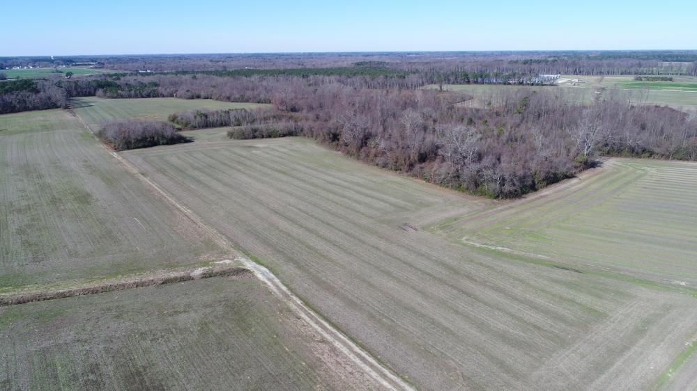 00 Big Daddy's Rd., Pikeville, NC 27863 Land and Farm