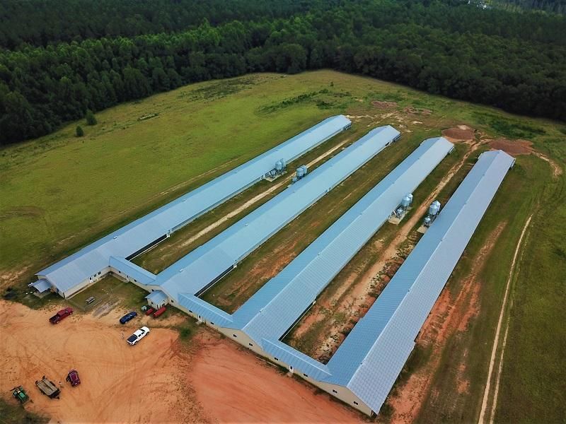 Dragonfly Lane, Williston, SC 29853 Land and Farm