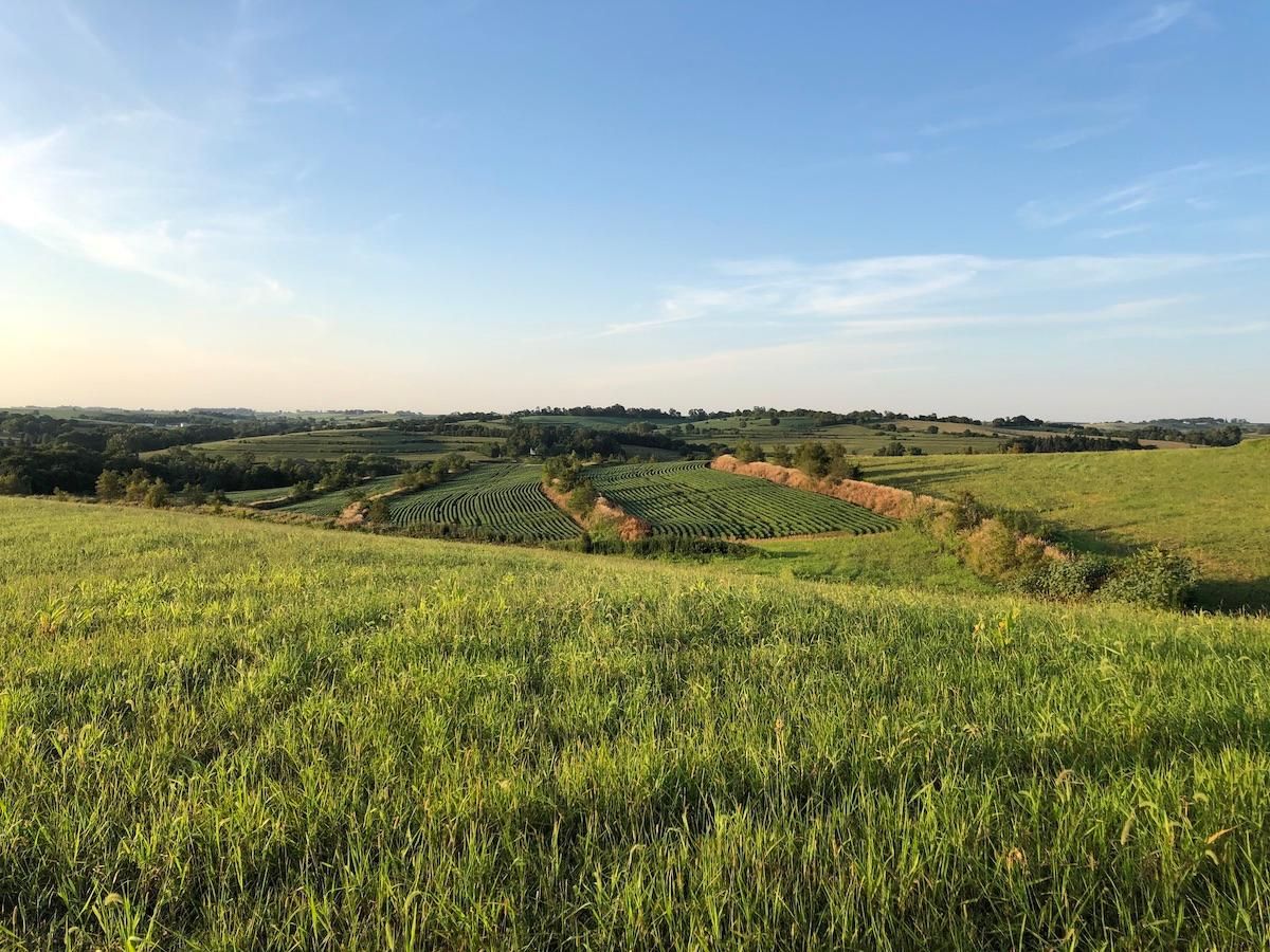 60 Acres, Herman, NE 68029 Land and Farm