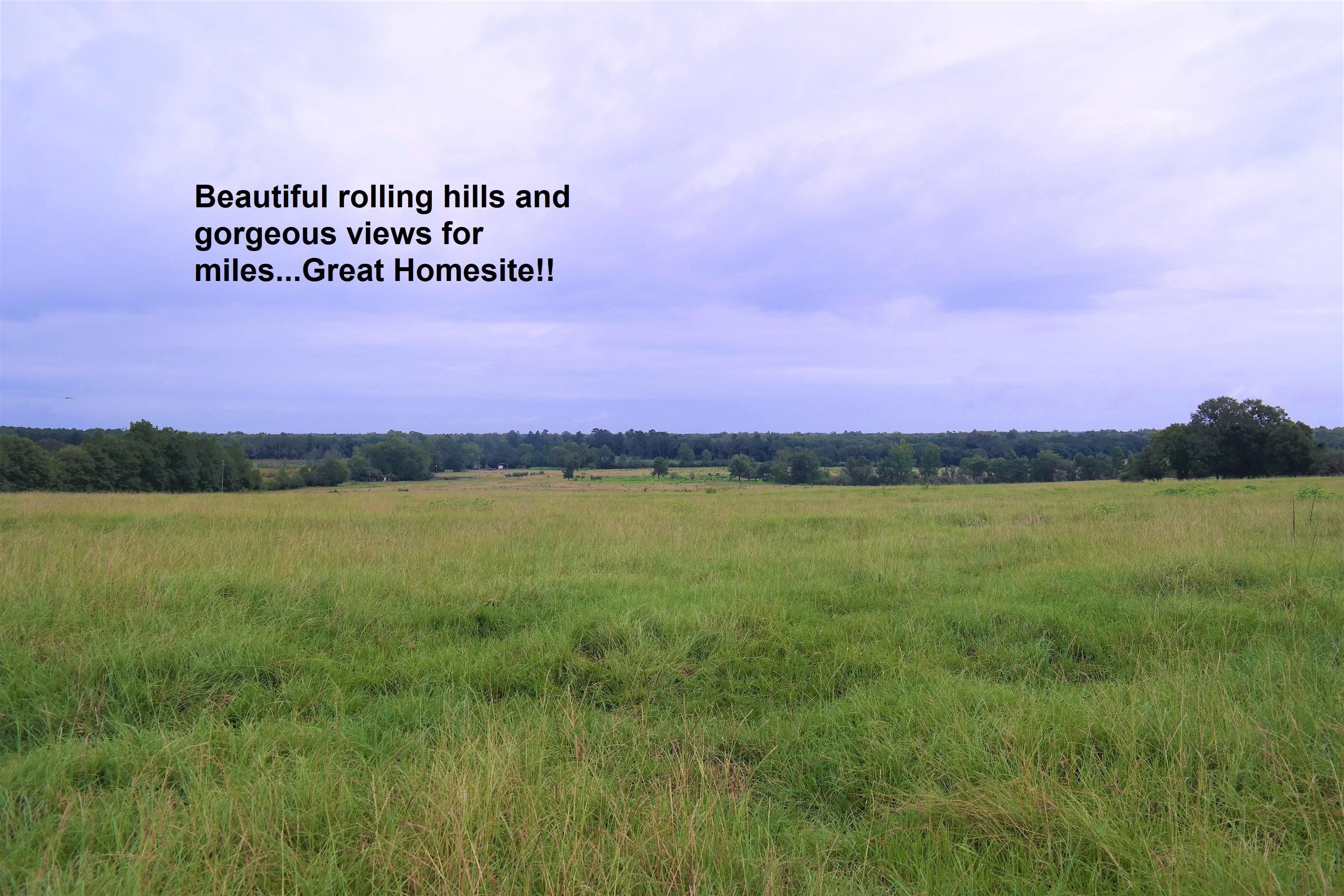 40 Acres, 40 Ac Arnold Road, Westville, FL 32464 Land and Farm