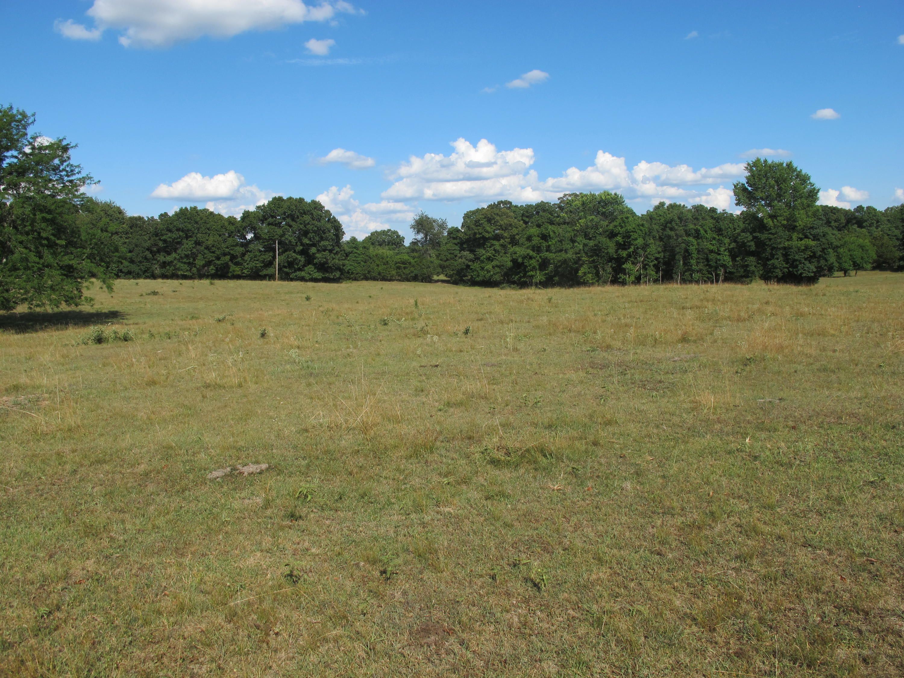 40 Acres, Tract1 State Highway 14, Sparta, MO 65753 Land and Farm