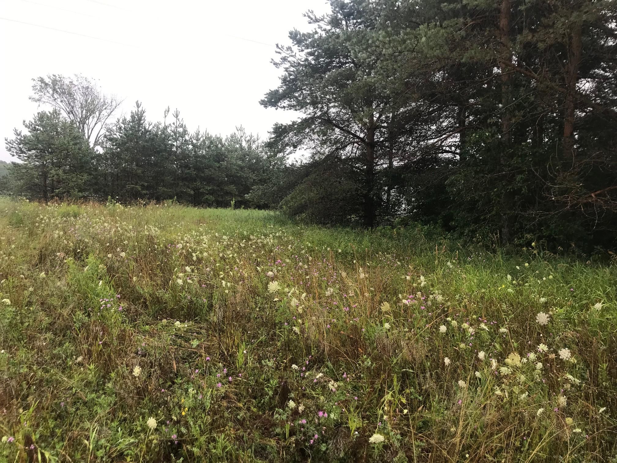 20 Acres, Sherman Road, Frederic, MI 49733 Land and Farm