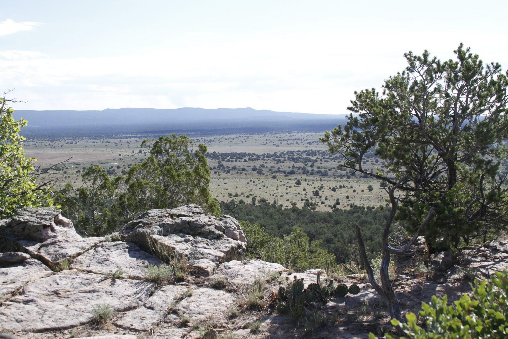 5 acres in Mountain View, NM, 87321 MLS R05312 & R02916 Land and Farm