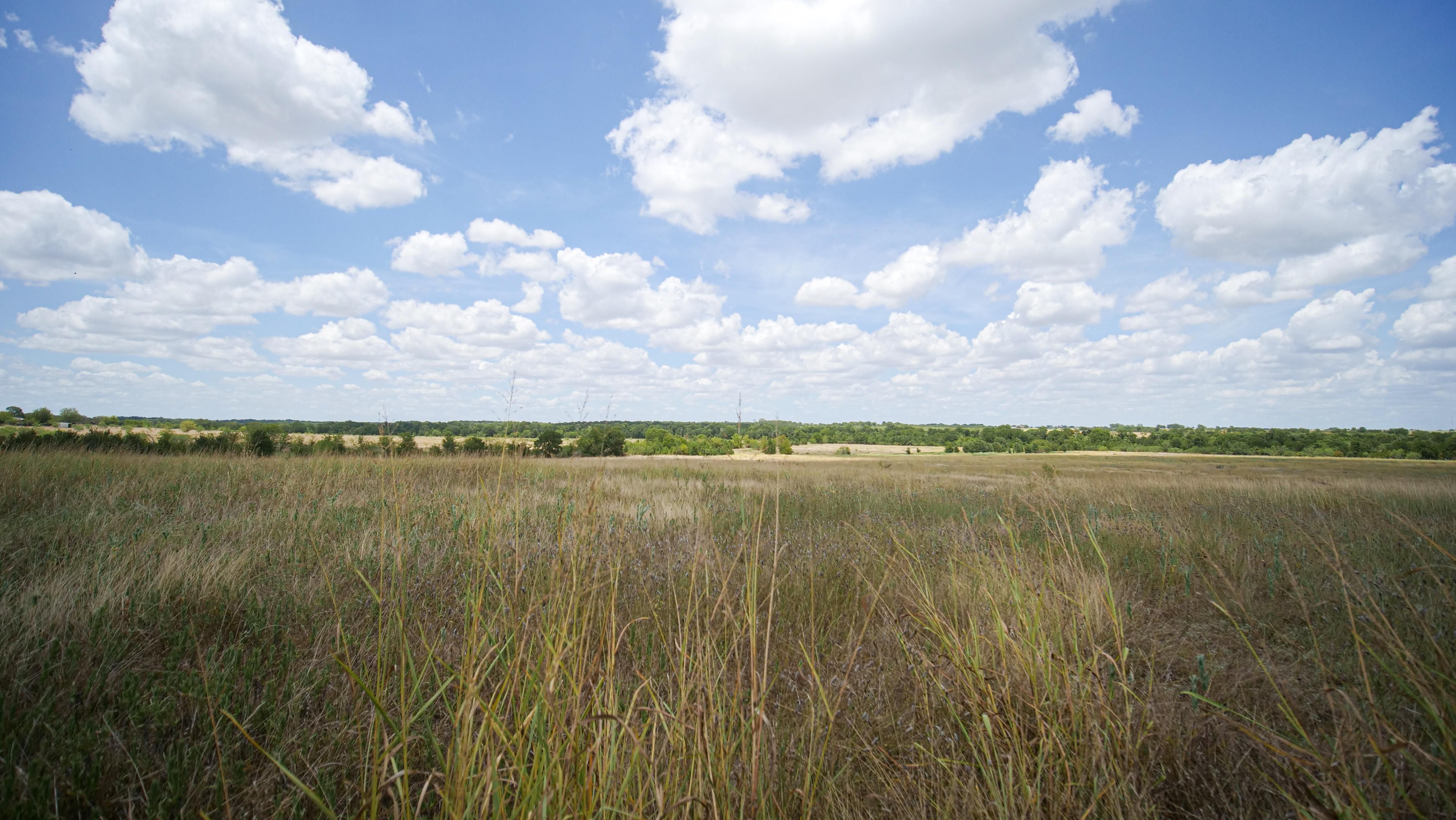117 Acres, Cameron, TX 76520 Land and Farm