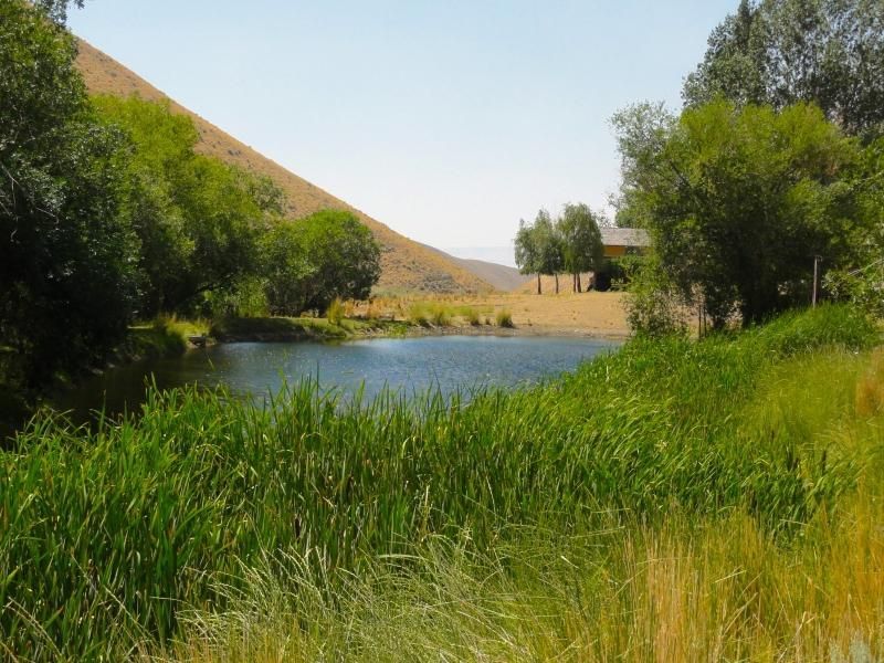 116 Acres, Orovada, NV 89425 Land and Farm