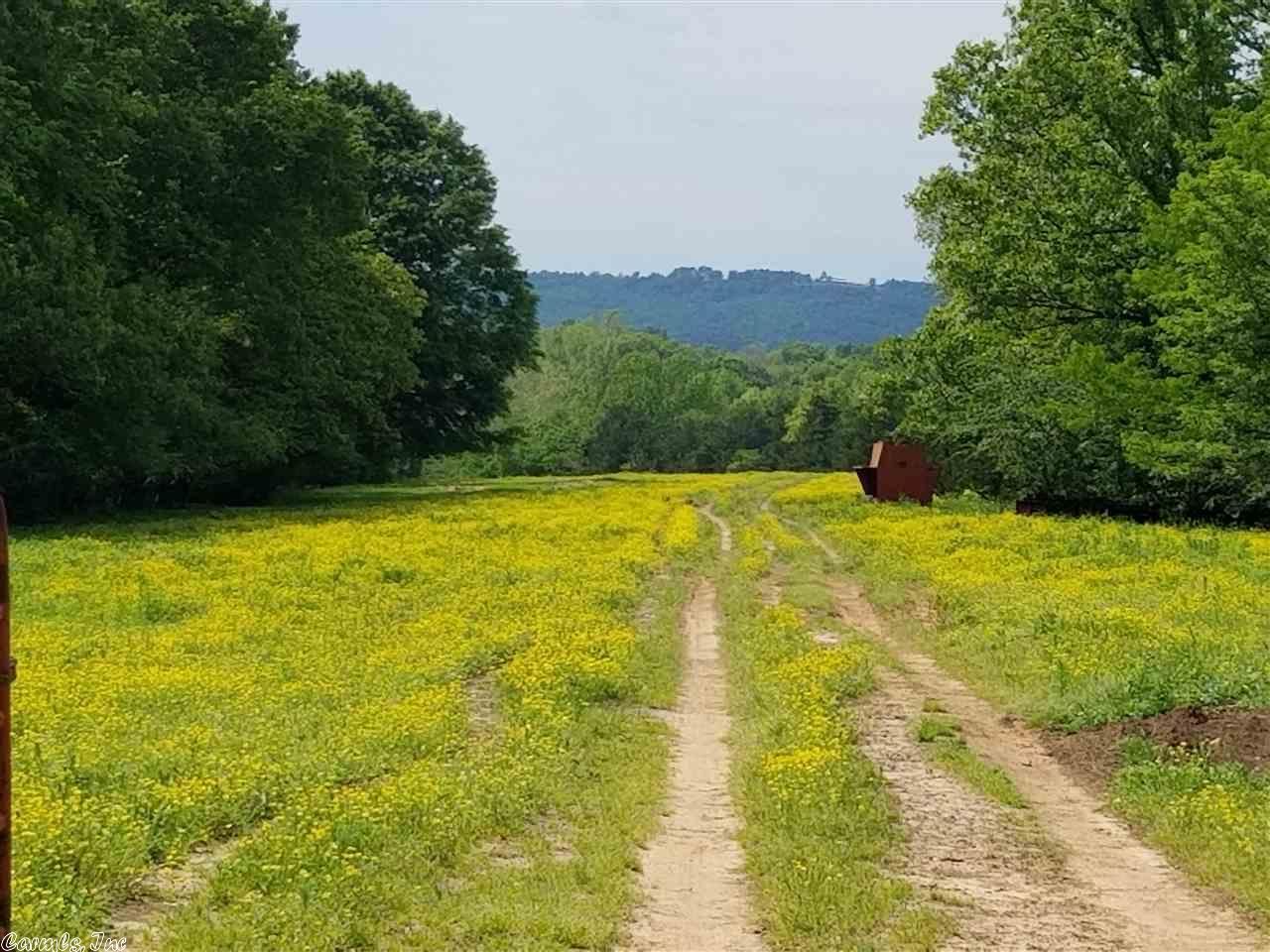 136 Acres, 000 Hwy 247, Hattieville, AR 72063 Land and Farm