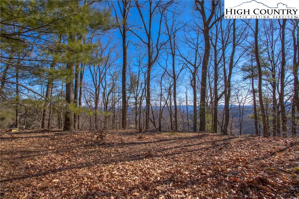 1.85 Acres, Lot 3 Ivy Ridge Road, Deep Gap, NC 28618 Land and Farm