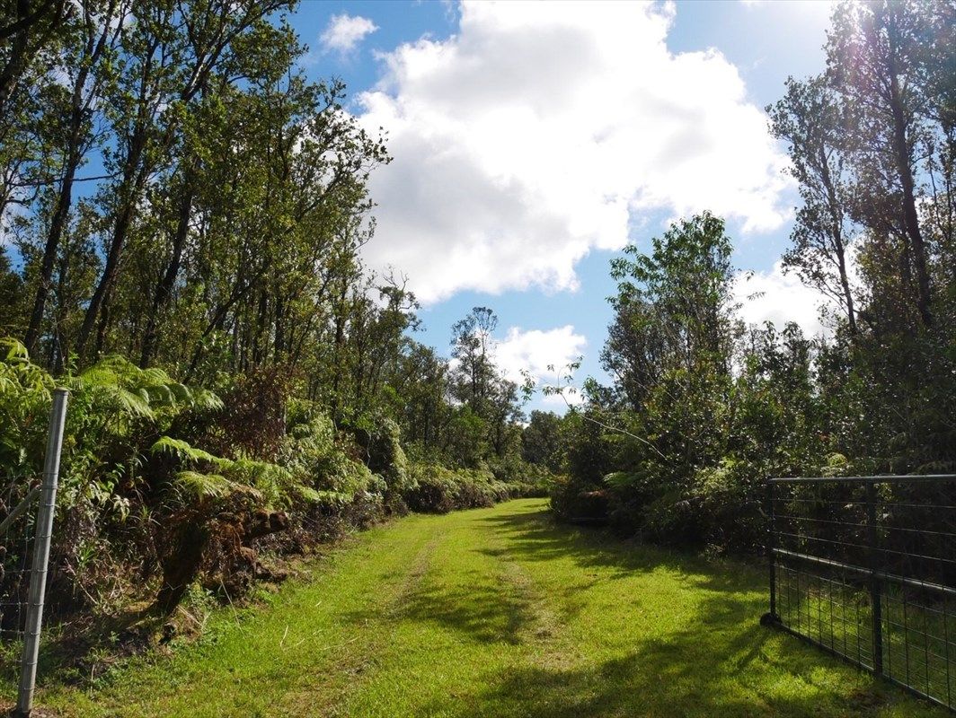 20 Acres, WAIMAKA O PELE RD, Mountain View, HI 96771 Land and Farm