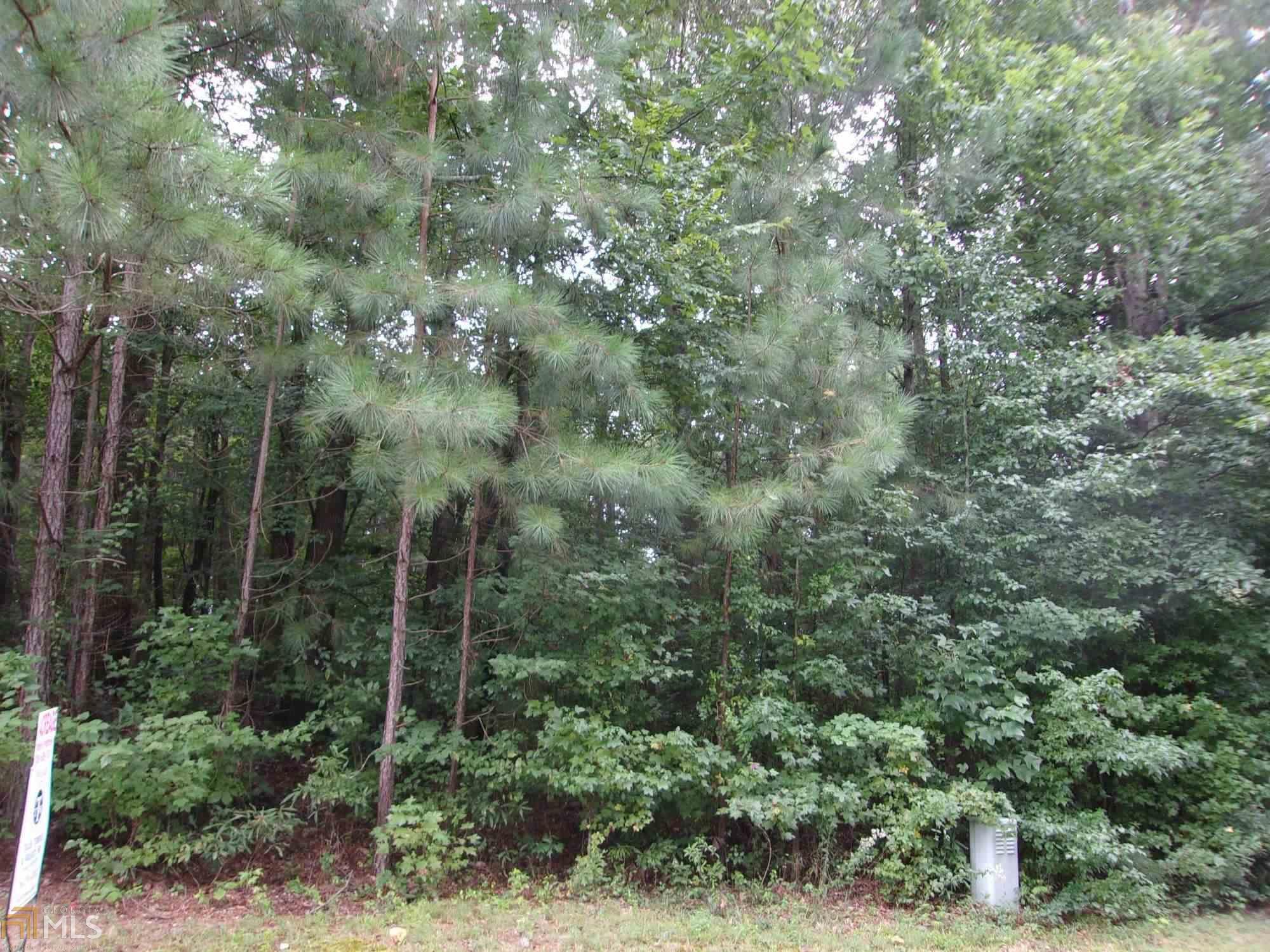 1.64 Acres, 203 River Place Dr, Calhoun, GA 30701 Land and Farm