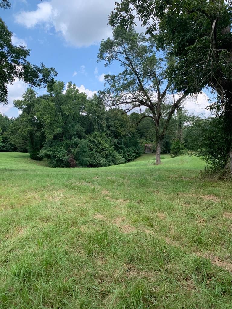 80 Acres, 134 Dale Drive, Hazlehurst, MS 39083 Land and Farm