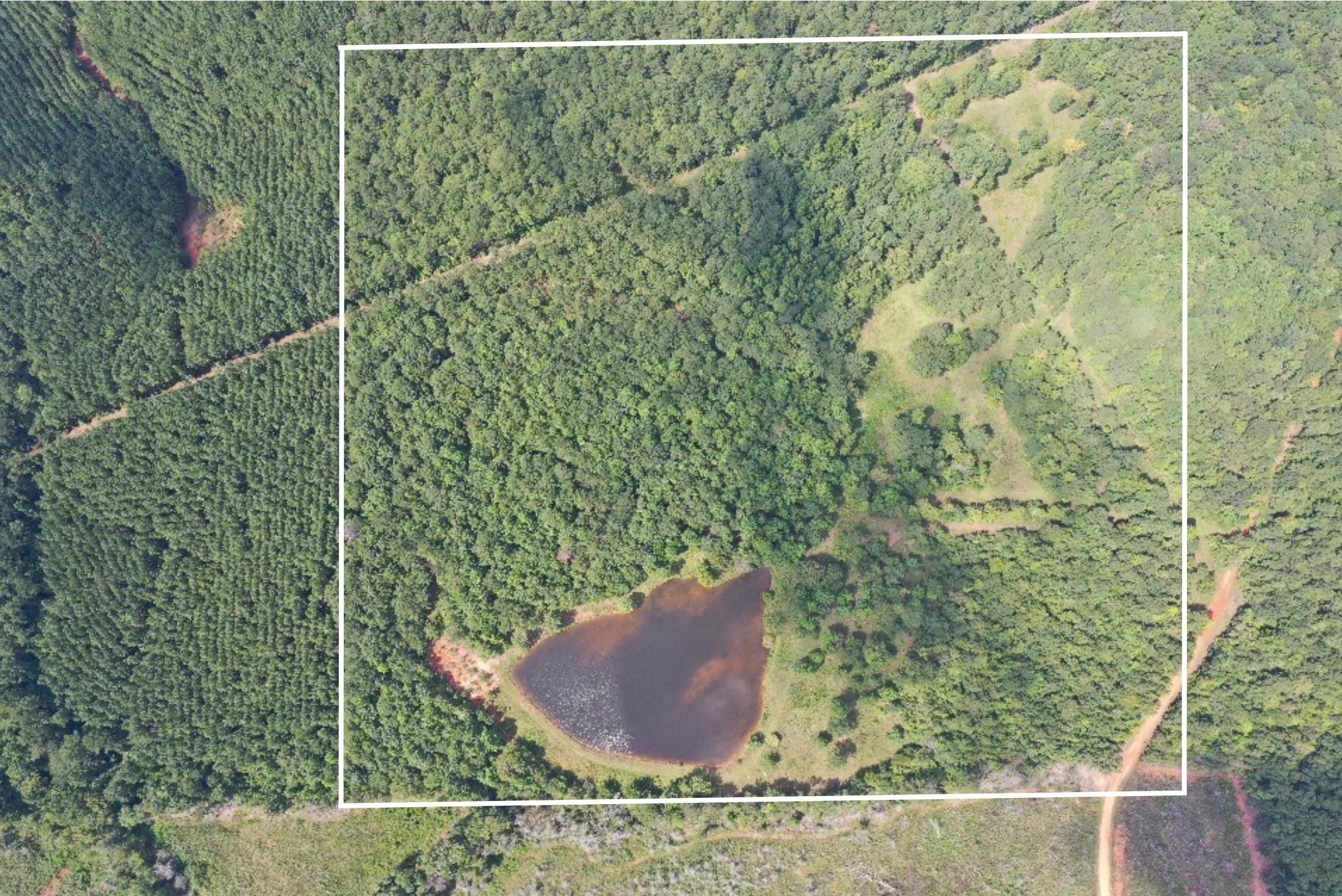 40 Acres, County Road 78, Lafayette, AL 36862 Land and Farm