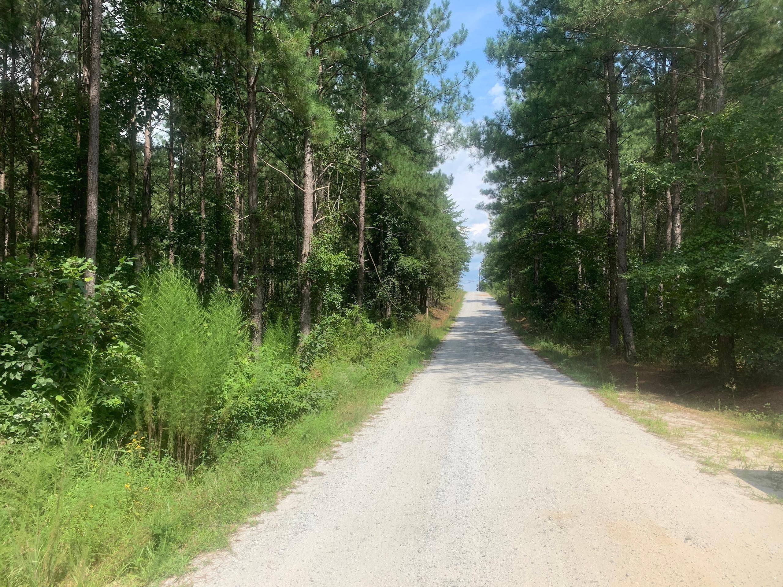 Chase High Road, LotWP01, Forest City, NC 28043 Land and Farm