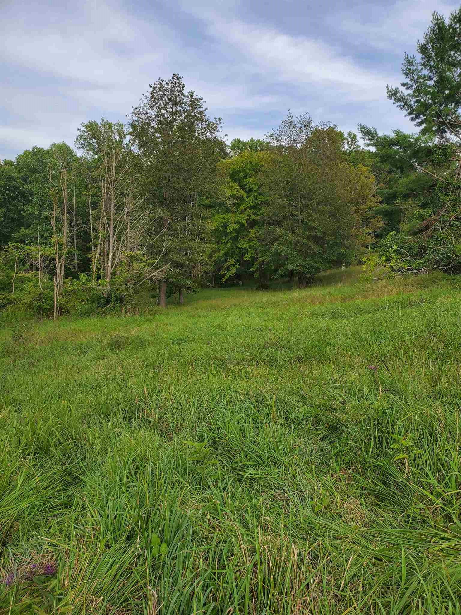 40 Acres, TBD Fayette Owen Road, Bedford, IN 47421 Land and Farm
