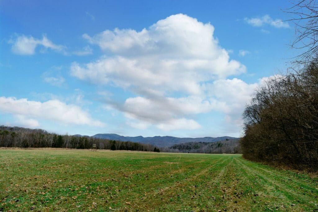979 acres in Buchanan, VA, 24066 Land and Farm