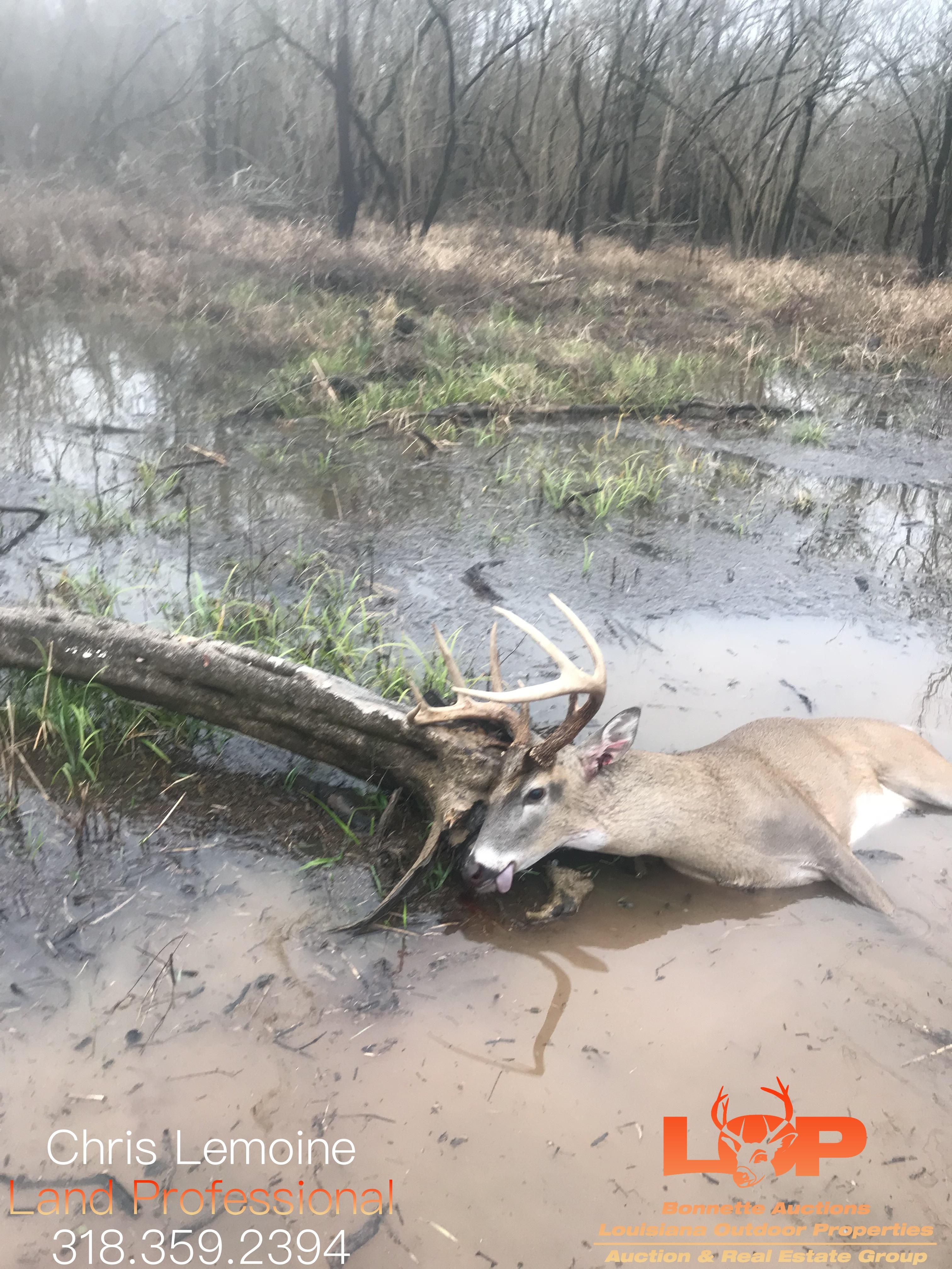 8,000 acres in Marksville, LA, 71350 Land and Farm