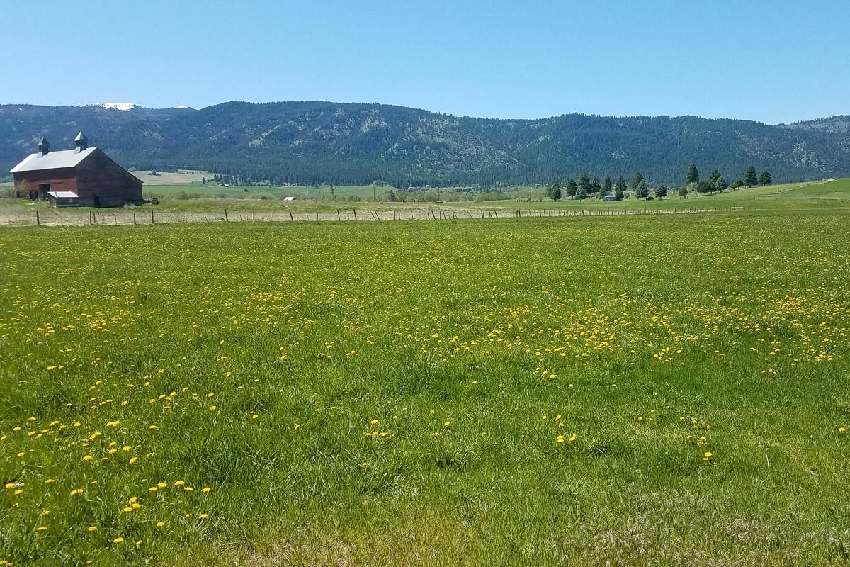 Jim Town Road, Lostine, OR 97857 MLS 20542944 Land and Farm