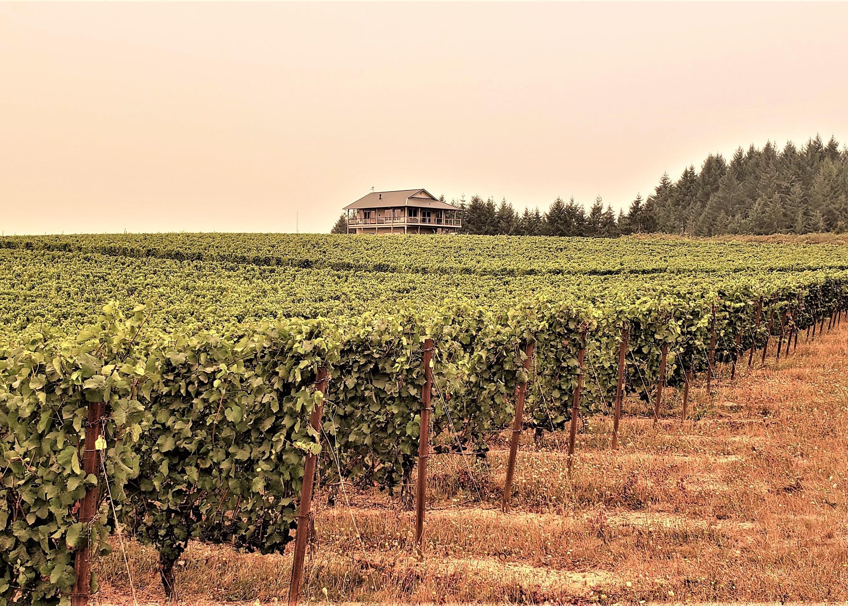 65.34 Acres, 10895 Brateng Road, Monmouth, OR 97361 Land and Farm