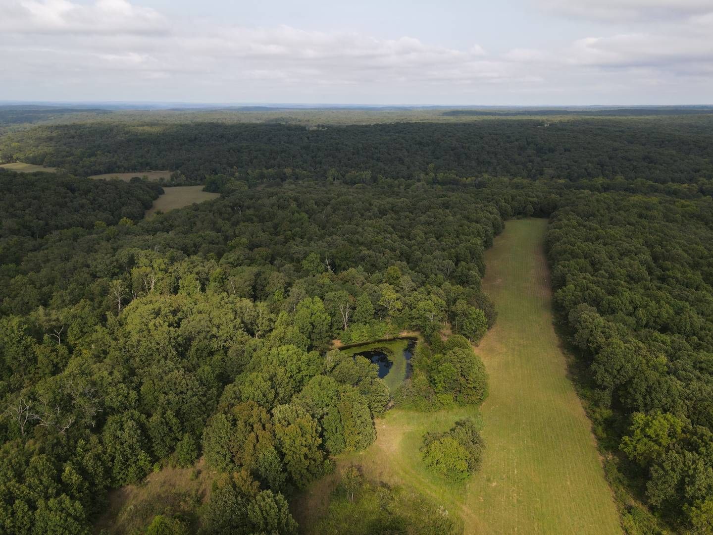 169 Acres, 34007 Hwy 7, Edwards, MO 65326 Land and Farm