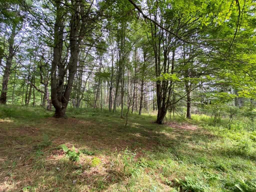 5 Acres, Cochecton, NY 12726 Land and Farm