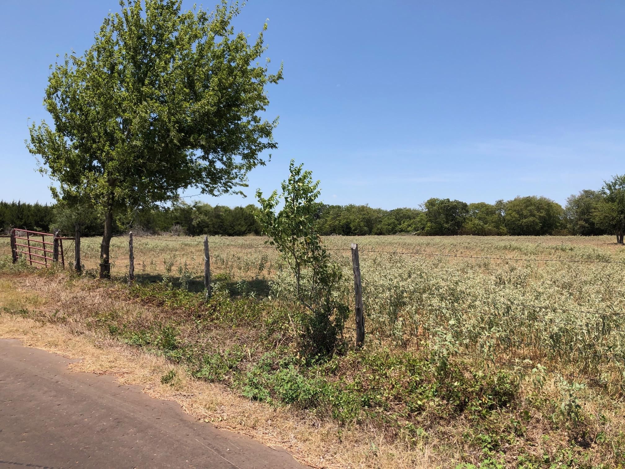4.44 Acres, 000 Bartkowiak Rd, Bremond, TX 76629 Land and Farm