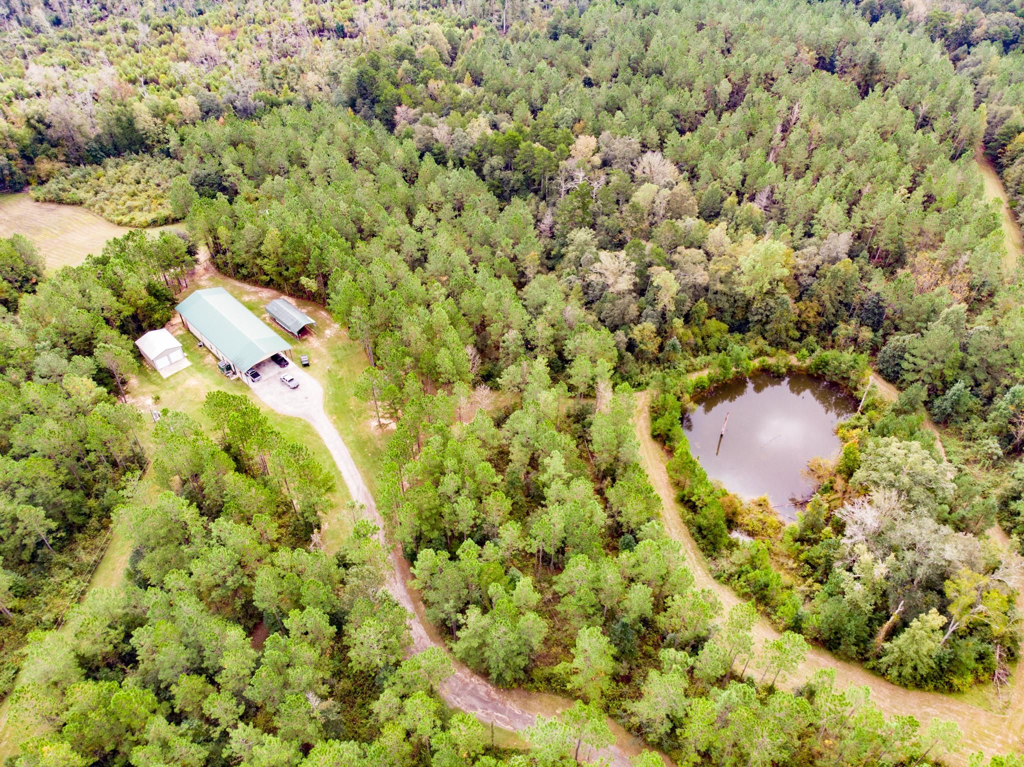 115 Acres, 3597 Tallahassee Hwy, Attapulgus, GA 39815 Land and Farm