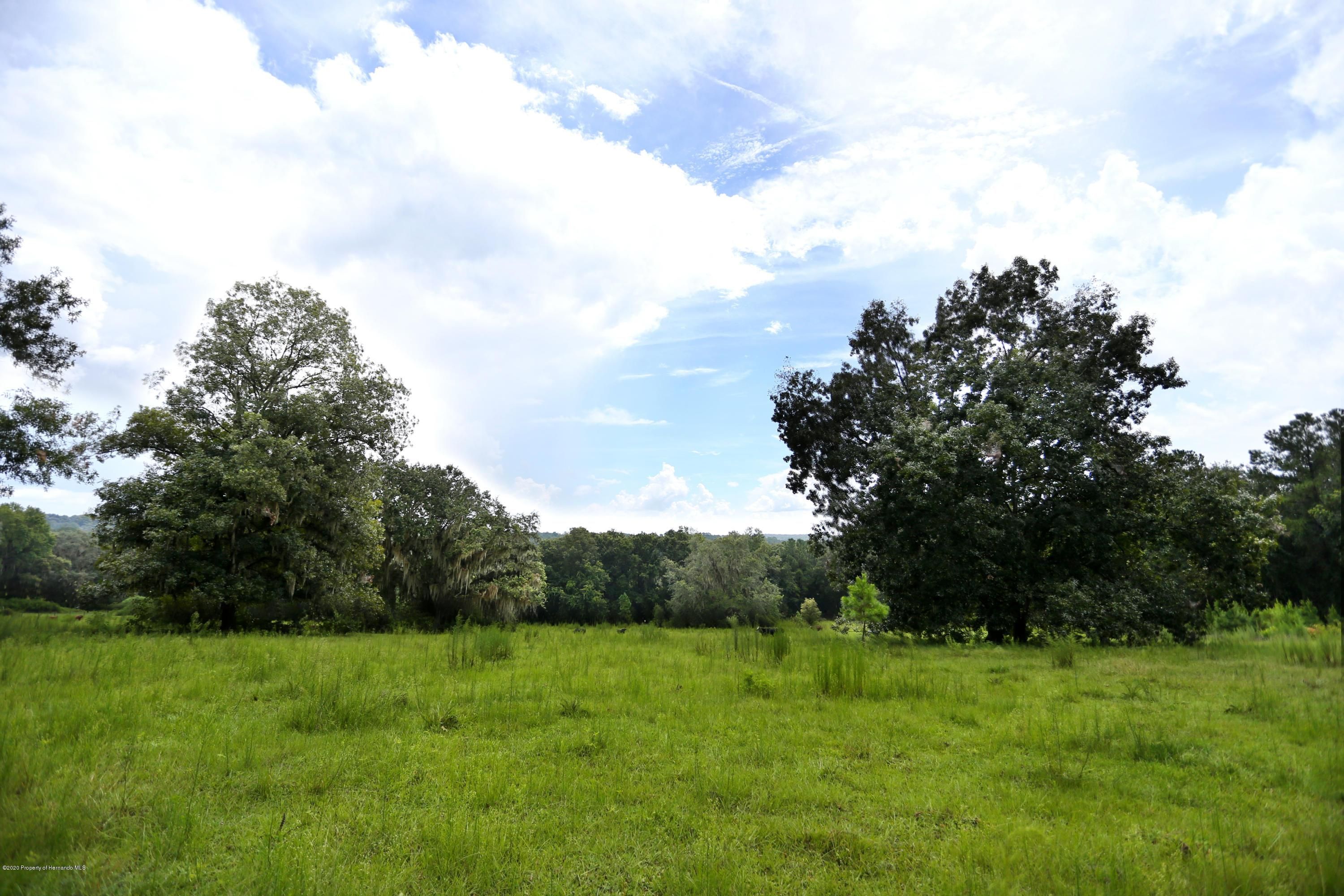 20 Acres, Goldsmith Rd, Brooksville, FL 34602 Land and Farm