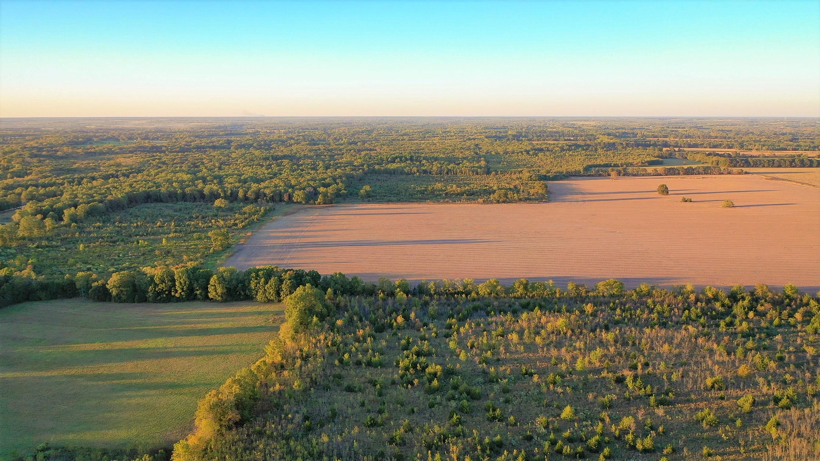 249 Acres, TBD CR 1357, Clarksville, TX 75426 Land and Farm